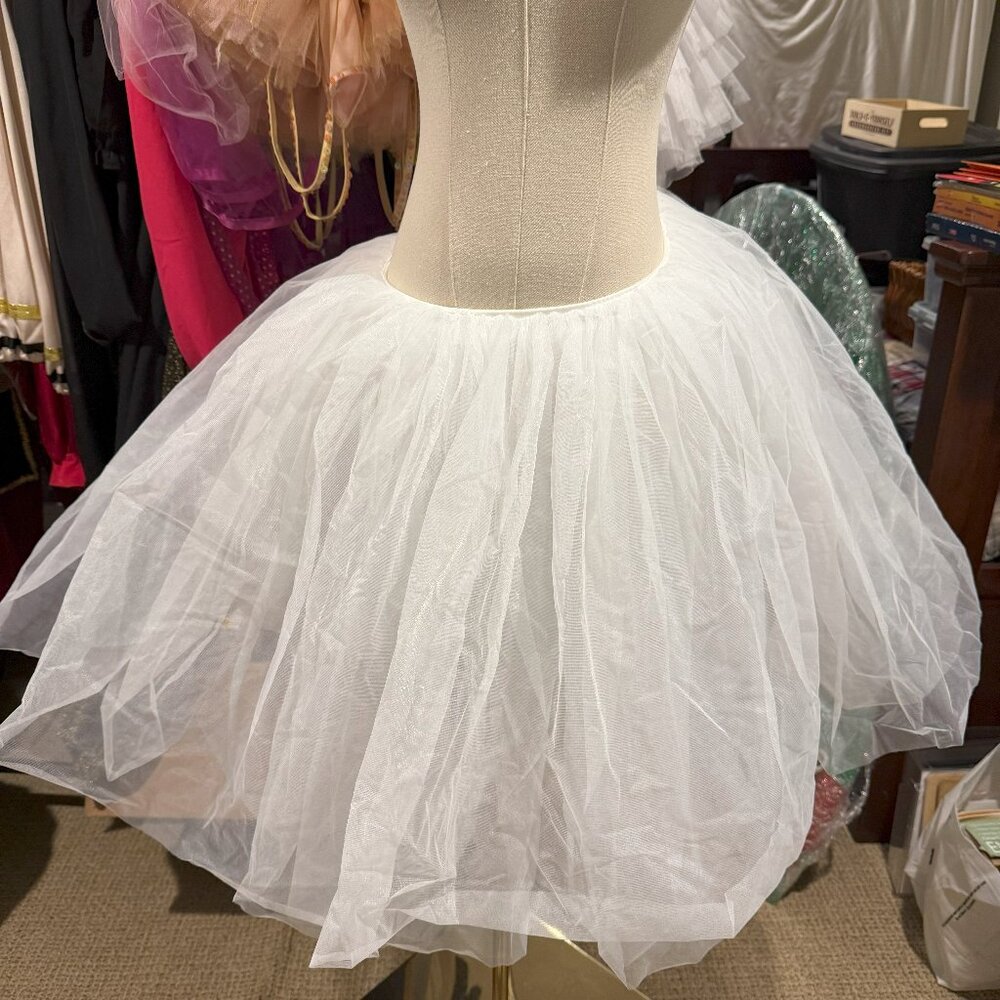 Tutu-Romantic Costume Gallery 18312